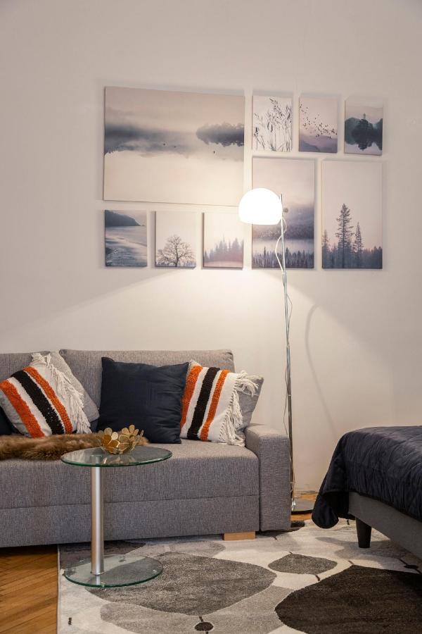 Spacious & Cozy Downtown Apartment With Balcony ブダペスト エクステリア 写真